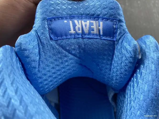 Rep 5 UNC Jordan Air DV1310-401 0506